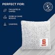 Campus Colors Two Tone Sherpa Throw Pillow, 14  x 14  Officially Licensed Plush Pillow for Home, College Dorm Room, or Gameday, Frosty Fleece Throw Pillow (Syracuse Orange - Multicolor) Online Sale